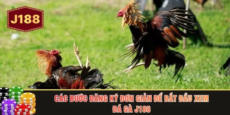 Các bước đăng ký đơn giản để bắt đầu xem đá gà J188