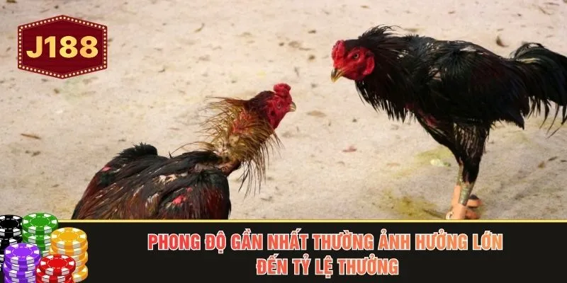 Phong độ gần nhất thường ảnh hưởng lớn đến tỷ lệ thưởng