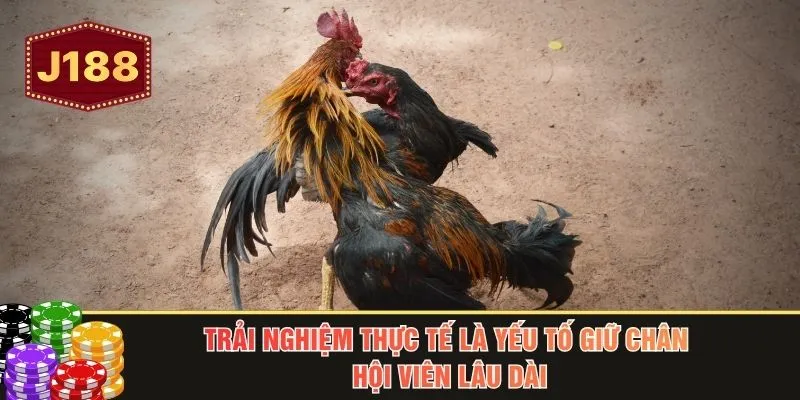 Trải nghiệm thực tế là yếu tố giữ chân hội viên lâu dài